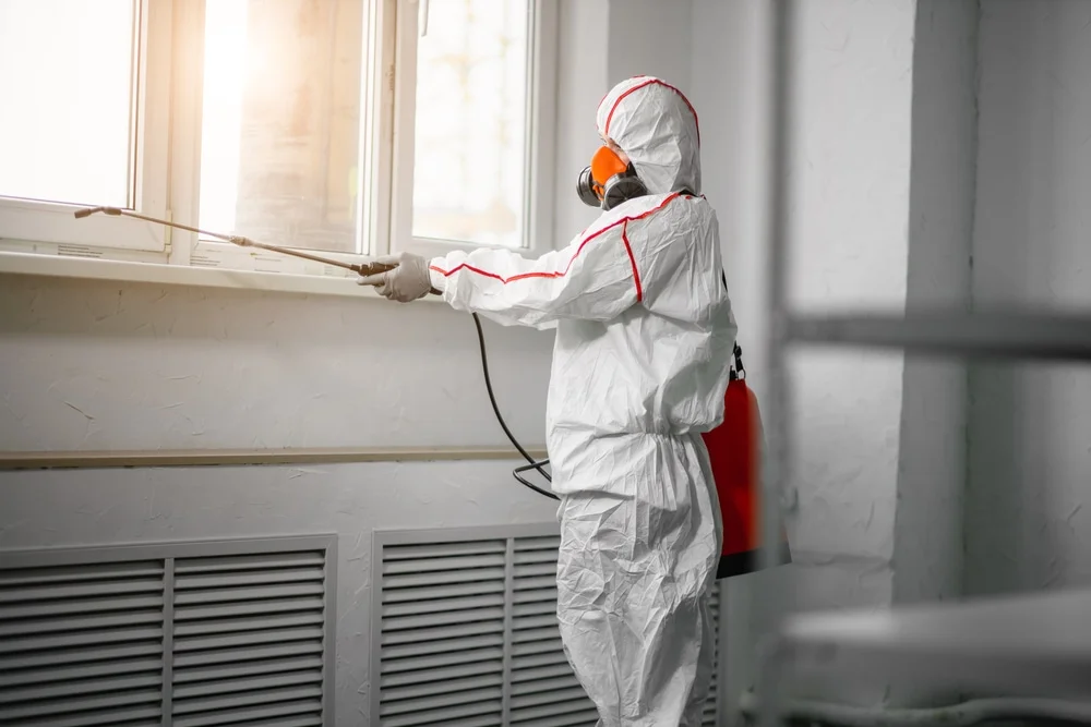 Professional mold remediation services in Anderson Island, WA